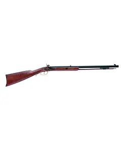 DPS237
