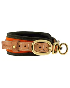 Collier-Chien-de-Sang-Orange-Fluo-Niggeloh