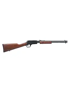 Carabine A Pompe Rossi 22LR Bois